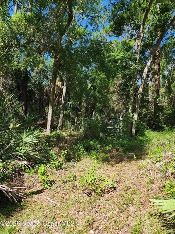 9581 Parker Drive Micco FL 32976