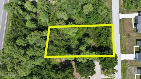 1317 Sagbloom Street SE Palm Bay FL 32909
