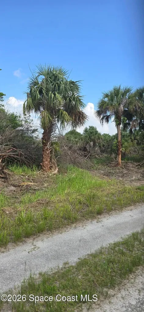 711 Dirckson Street SW Palm Bay FL 32908