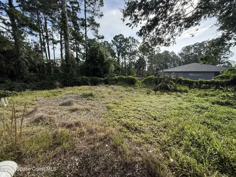 3207 Foresman Avenue SE Palm Bay FL 32909