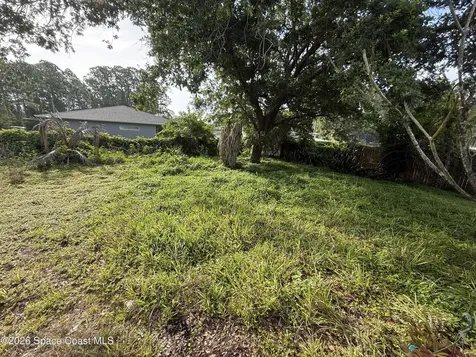3207 Foresman Avenue SE Palm Bay FL 32909