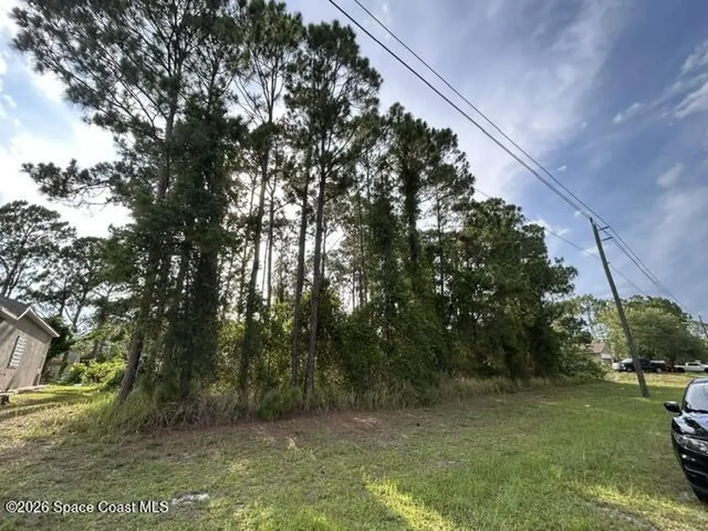 258 Krassner Drive NW Palm Bay FL 32907
