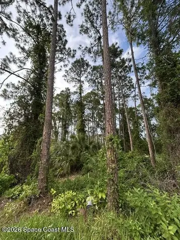 258 Krassner Drive NW Palm Bay FL 32907