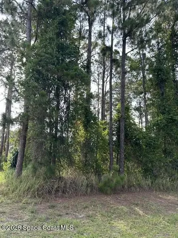 258 Krassner Drive NW Palm Bay FL 32907