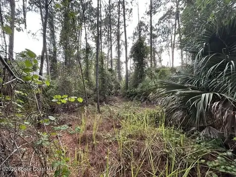 258 Krassner Drive NW Palm Bay FL 32907