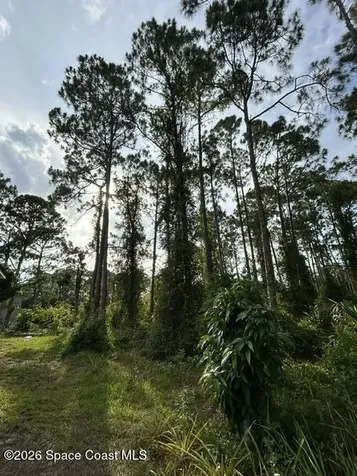 258 Krassner Drive NW Palm Bay FL 32907