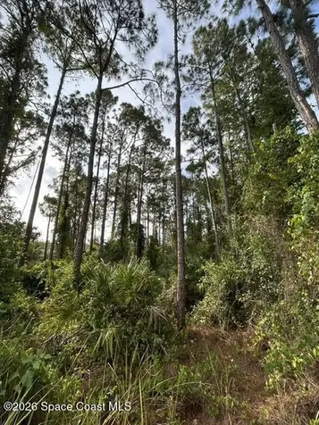 258 Krassner Drive NW Palm Bay FL 32907