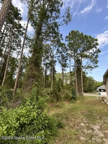 258 Krassner Drive NW Palm Bay FL 32907