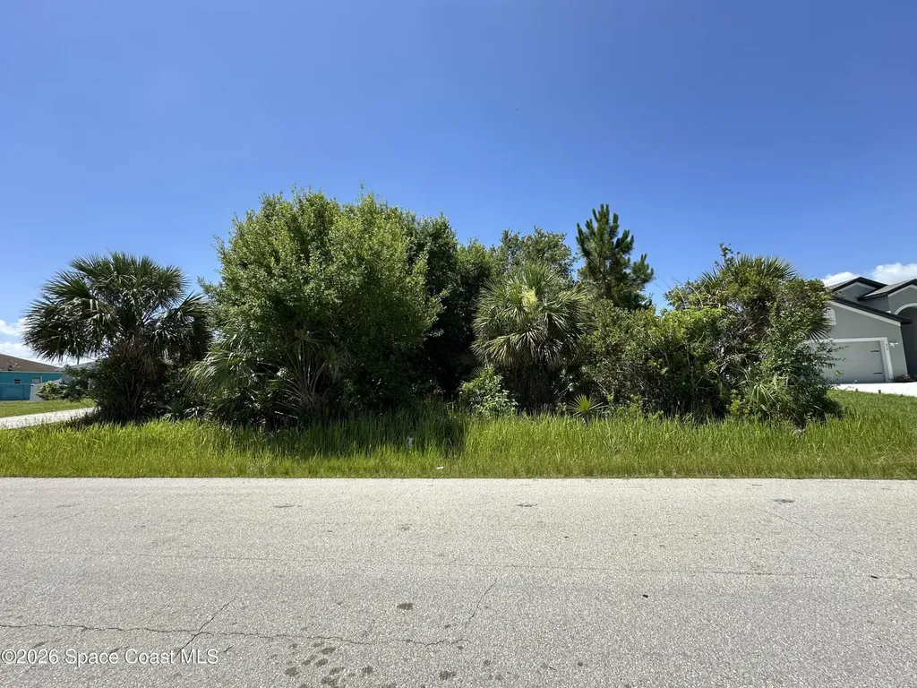462 Hamy Street SW Palm Bay FL 32908