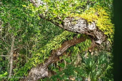 6214 Leeward Lane Melbourne Beach FL 32951