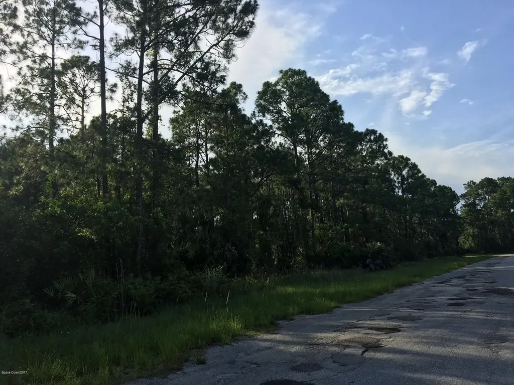 3212 Hainlin Avenue SE Palm Bay FL 32909