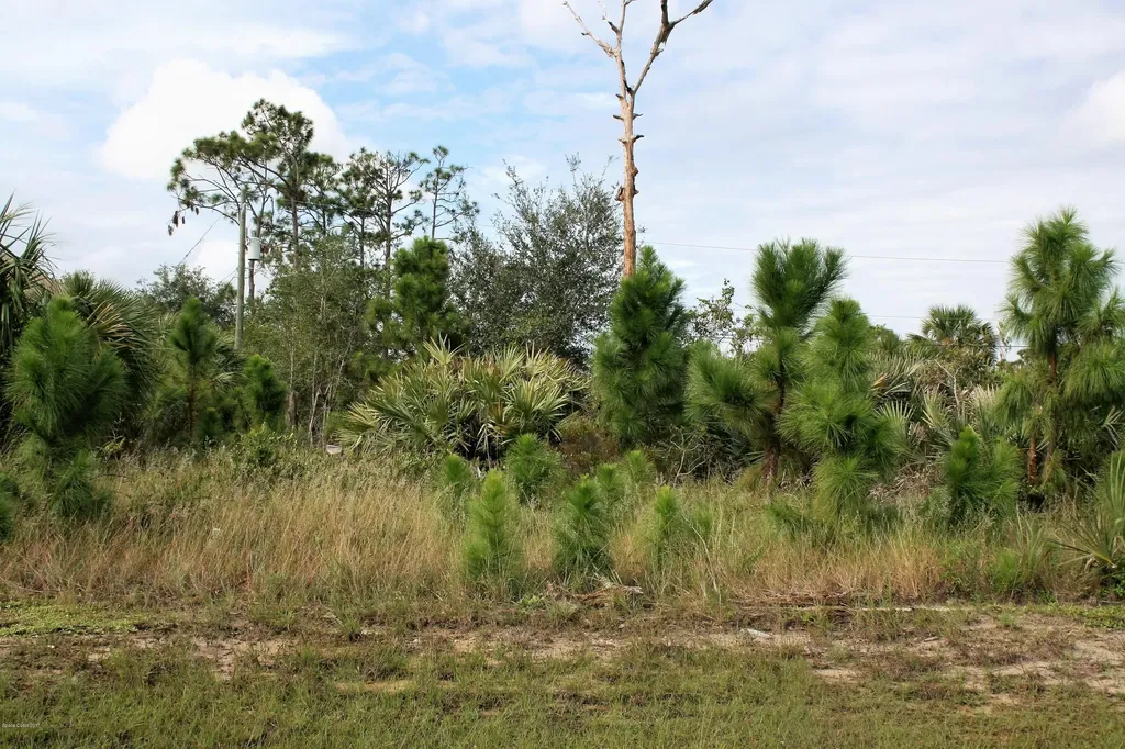 2138 De Groodt Road SW Palm Bay FL 32908