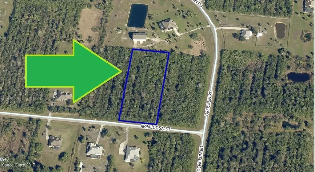 256 Appaloosa Street Palm Bay FL 32909