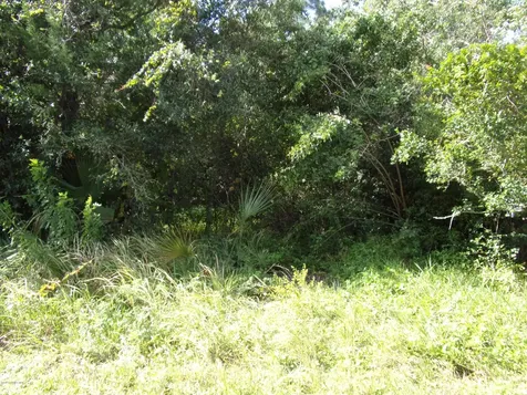 442 Teal Street SE Palm Bay FL 32909