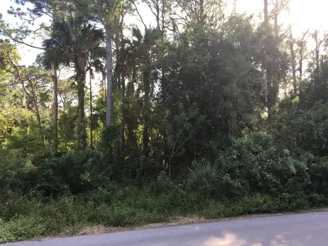 466 Olmsted Street SW Palm Bay FL 32908