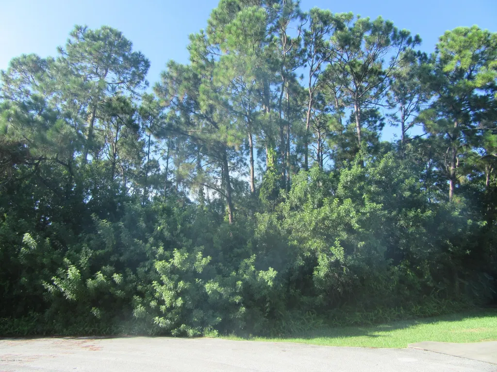 1109 Ida Court NW Palm Bay FL 32907
