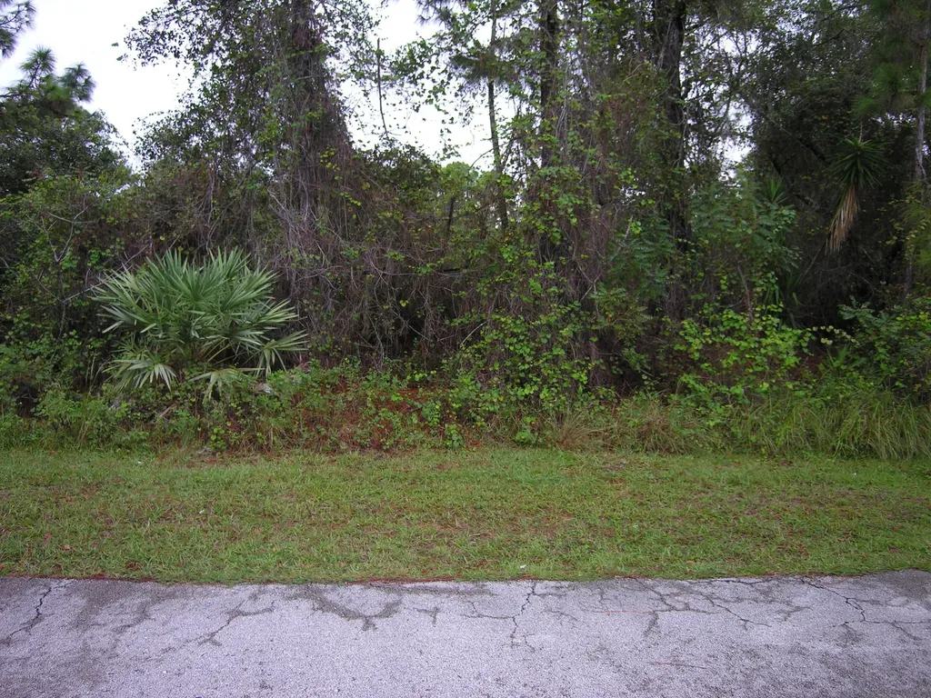 909 Sable Circle SE Palm Bay FL 32909