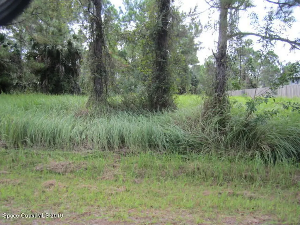 474 Haleybury Street SW Palm Bay FL 32908