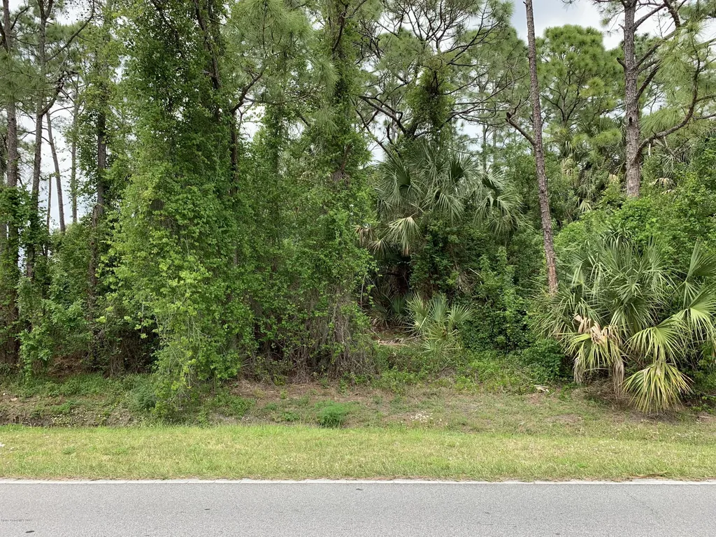 323 Americana Boulevard NE Palm Bay FL 32907