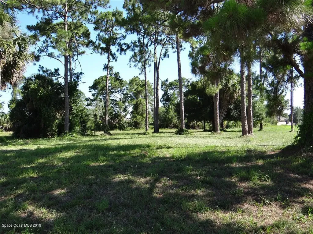 482 Bougainvillea Street NW Palm Bay FL 32907