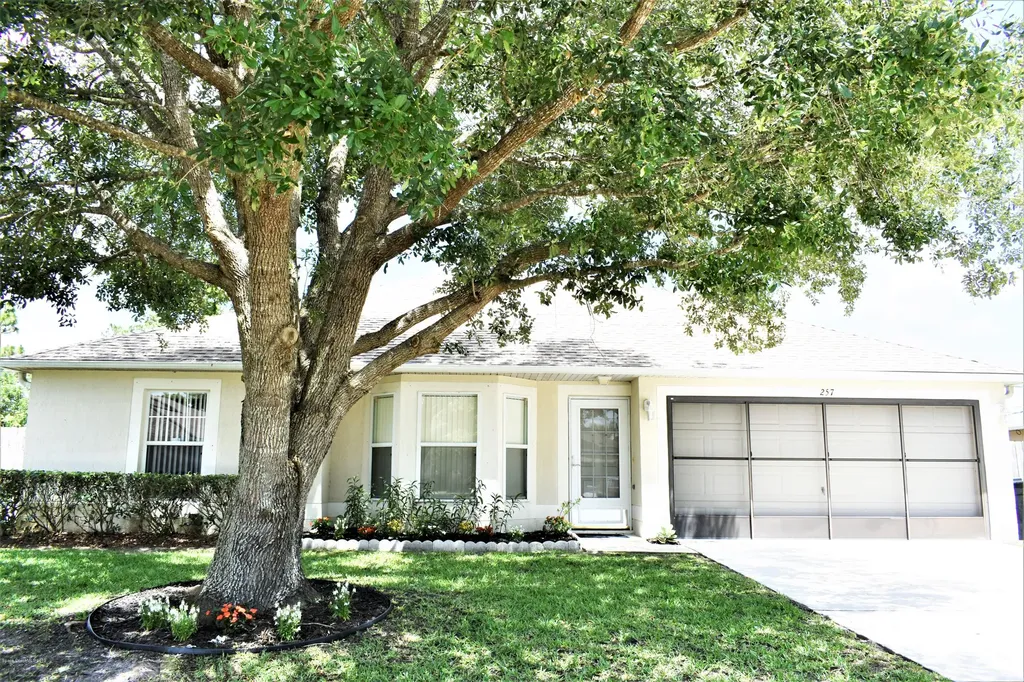 257 Charlotta Avenue SE Palm Bay FL 32909