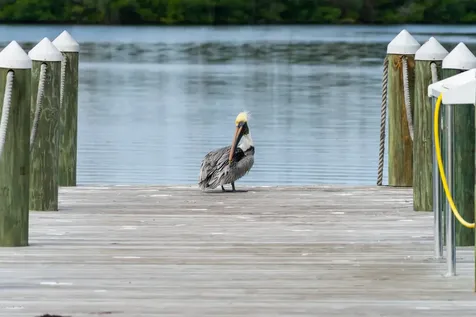 127 Aquarina Boulevard Melbourne Beach FL 32951