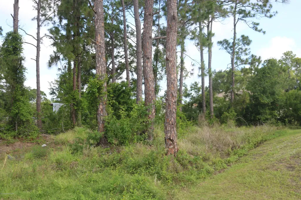 1531 Walker Street SE Palm Bay FL 32909