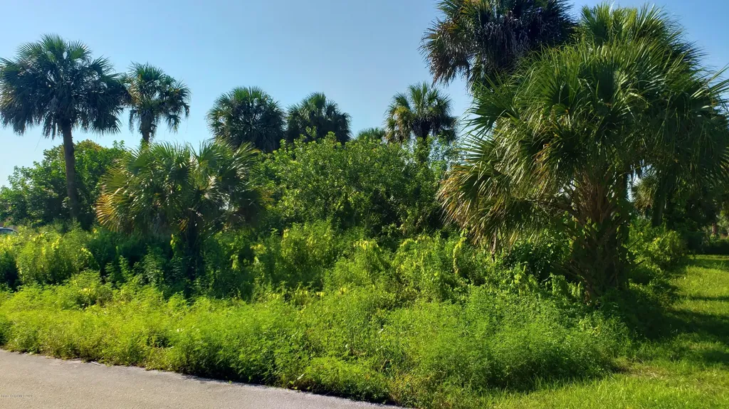 319 Brescia Street NE Palm Bay FL 32907