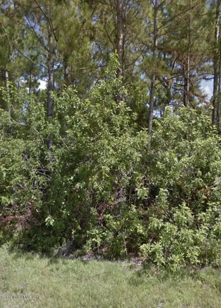 910 Lava Street SE Palm Bay FL 32909