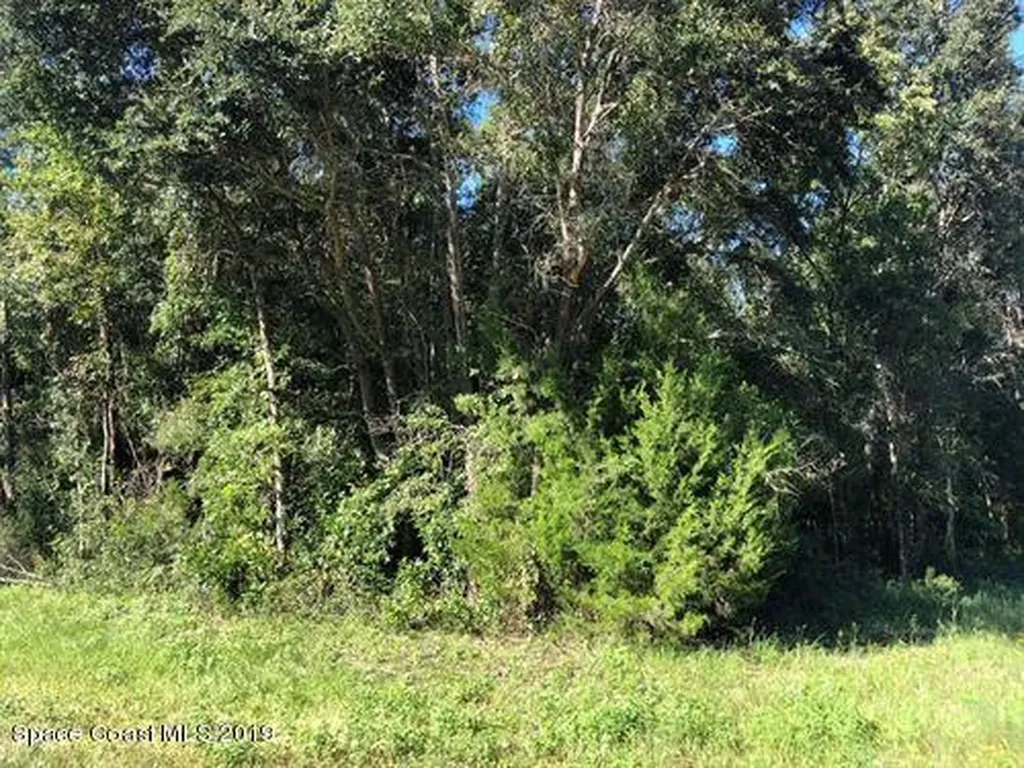 3224 Trainfo Avenue SE Palm Bay FL 32909