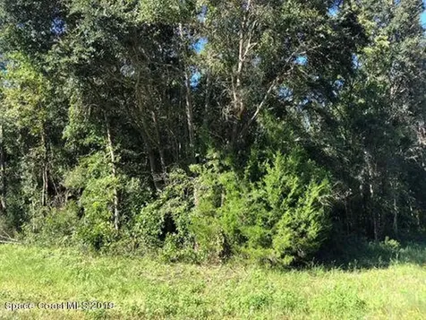 3224 Trainfo Avenue SE Palm Bay FL 32909