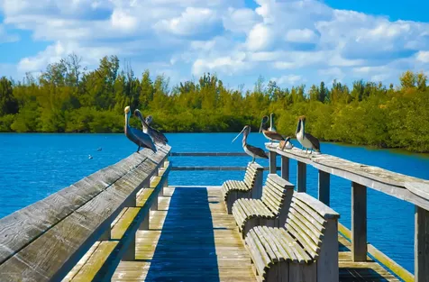 843 Aquarina Boulevard Melbourne Beach FL 32951