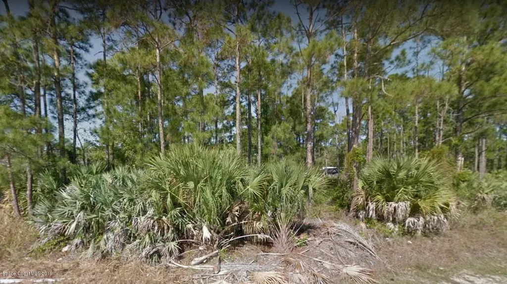 778 Geranium Avenue SW Palm Bay FL 32908