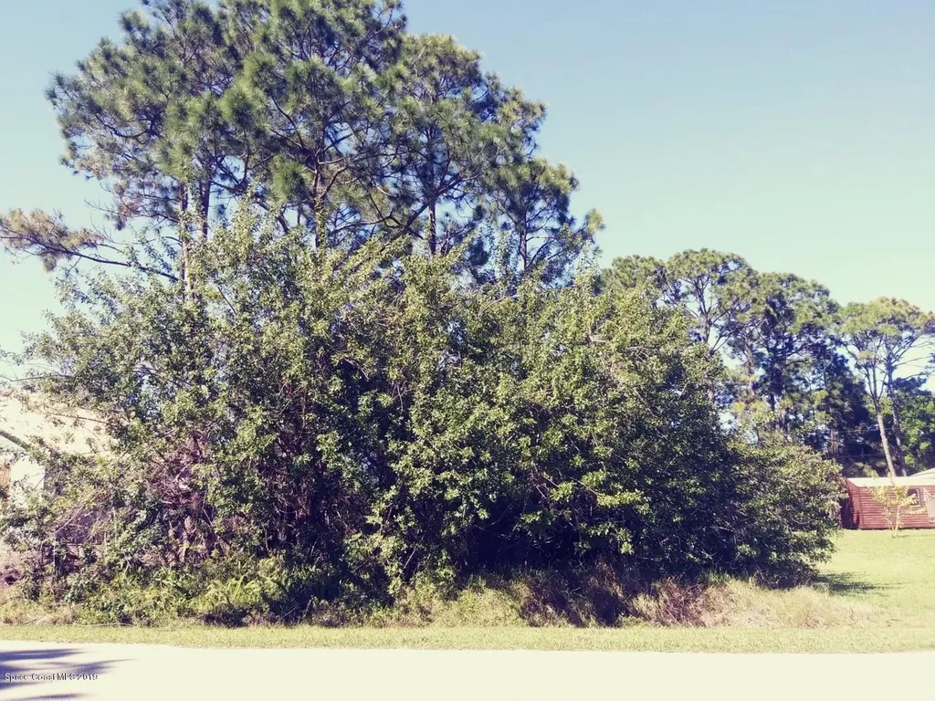 707 Coconut Street SE Palm Bay FL 32909