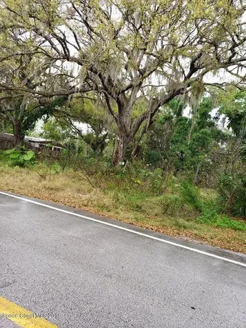2416 Turpentine Road Mims FL 32754