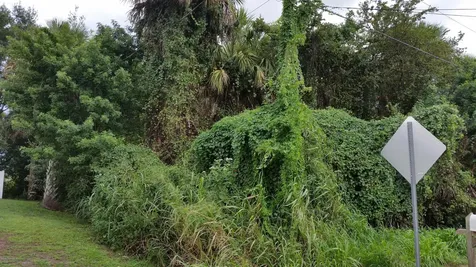 6485 Ainsworth Road Cocoa FL 32927