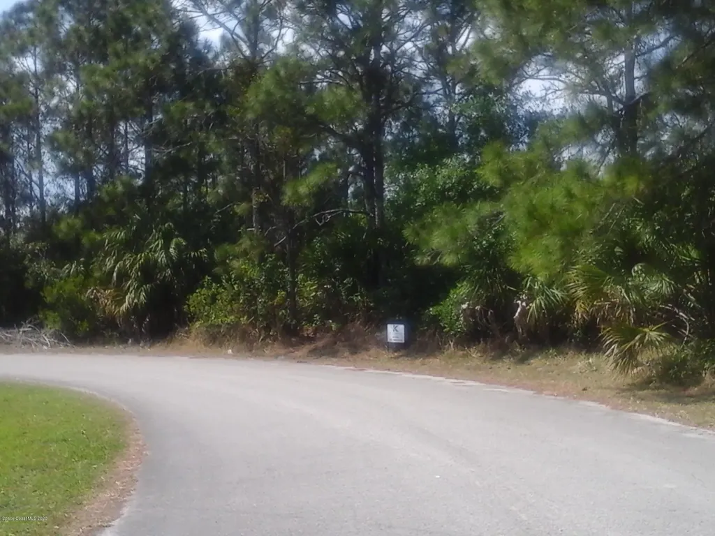 1293 Ragen Road SE Palm Bay FL 32909