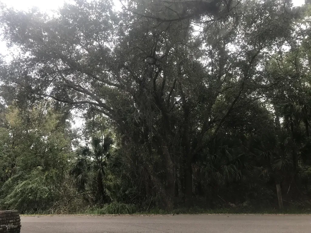 4025 Grantline Road Mims FL 32754