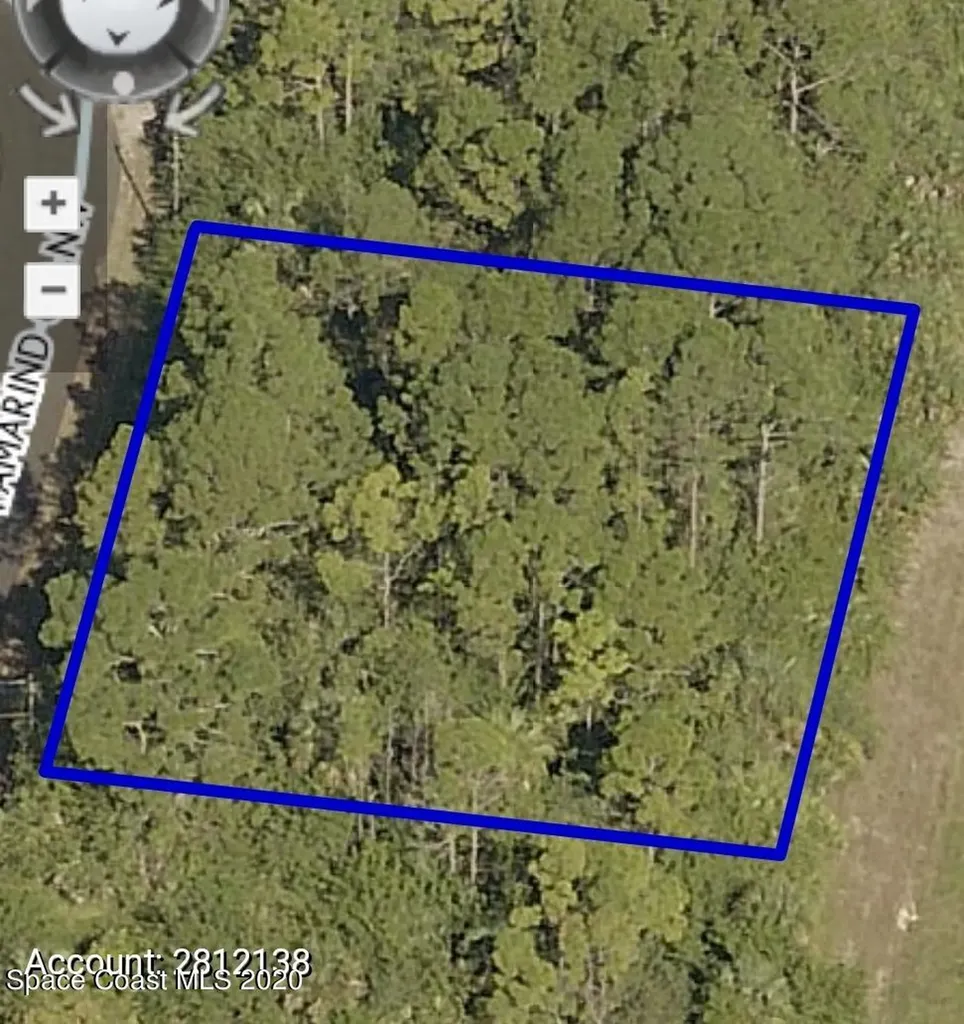 319 Tamarind Circle NW Palm Bay FL 32907