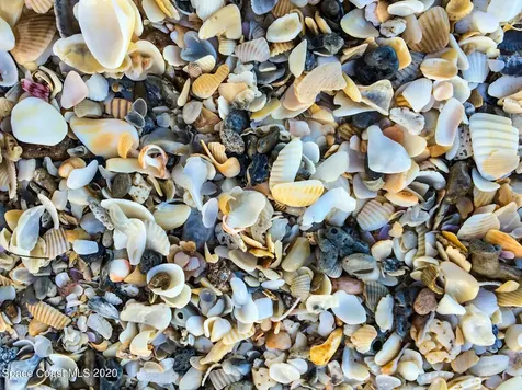 517 Mcguire Boulevard Indian Harbour Beach FL 32937