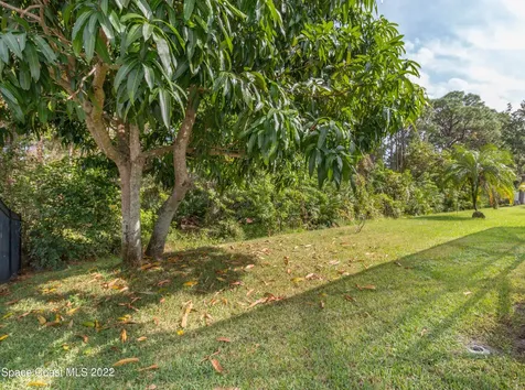 242 Pebble Hill Way Rockledge FL 32955
