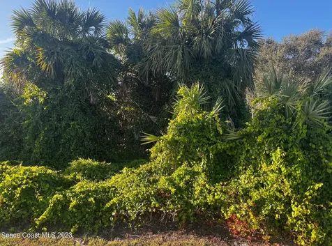 144 Main Street Sebastian FL 32958