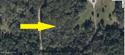 10567 N Wise Owl Point Dunnellon FL 34434