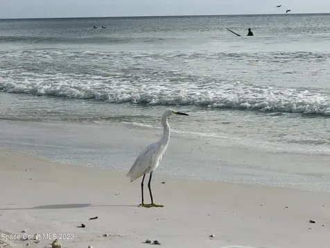 526 Sunset Boulevard Melbourne Beach FL 32951