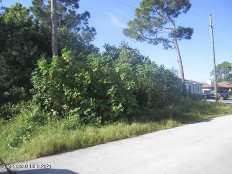 356 Brookedge Street NE Palm Bay FL 32907