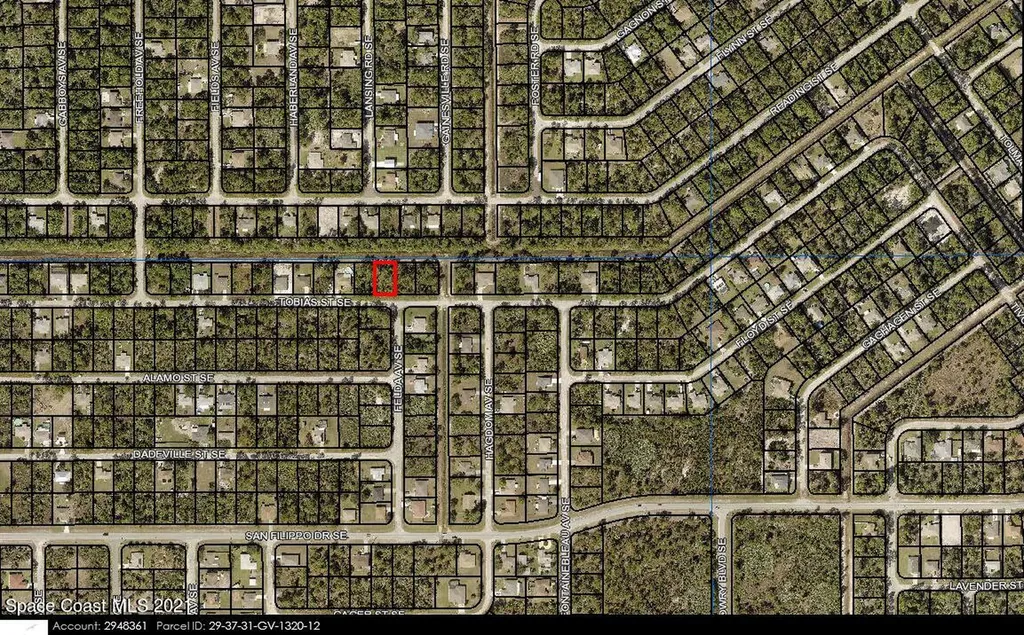 483 Tobias Street SE Palm Bay FL 32909