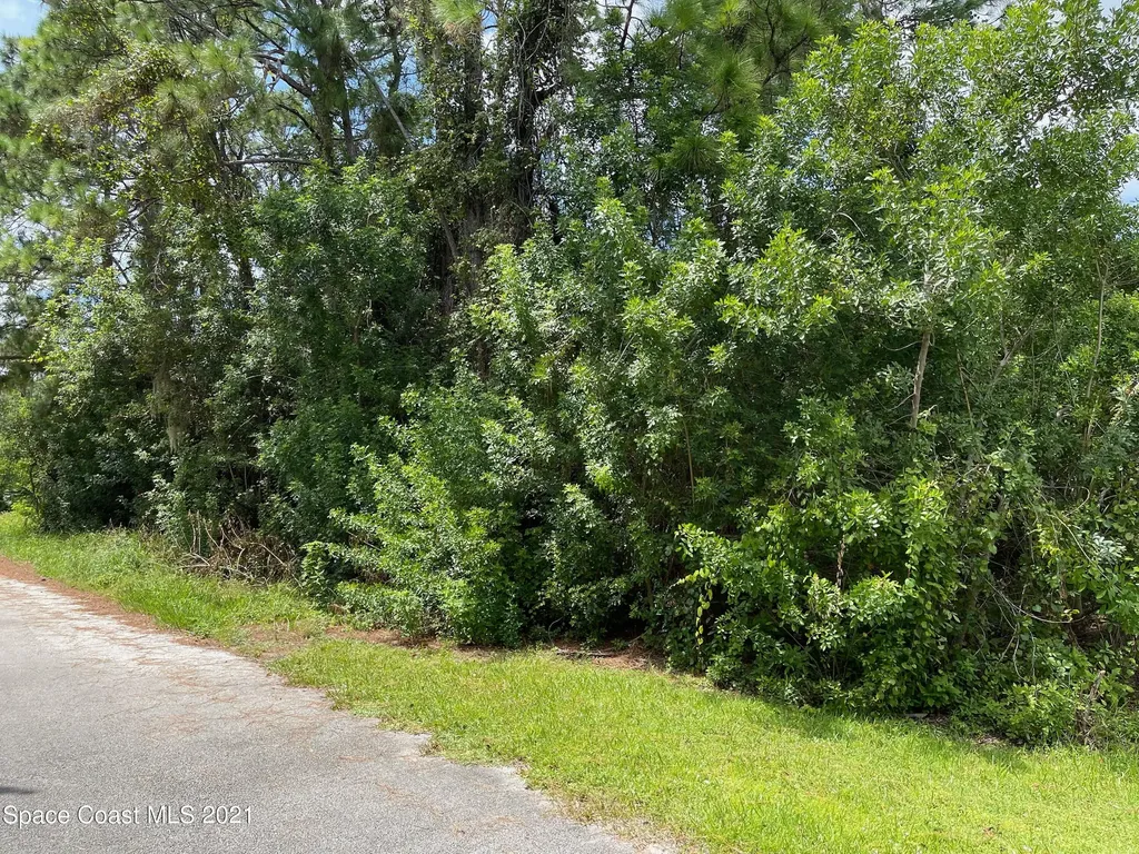 1183 Raoul Street SE Palm Bay FL 32909