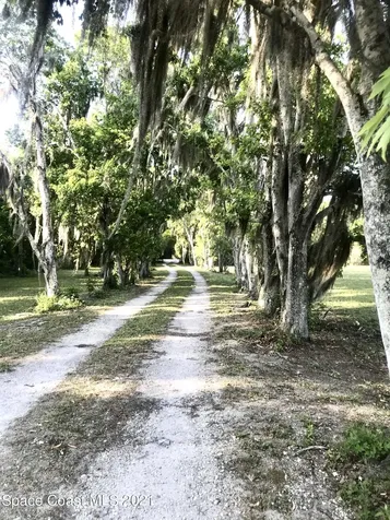 6605 State Road 46 Mims FL 32754