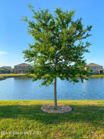 270 Sutherland Drive SW Palm Bay FL 32908