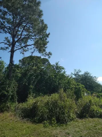 966 Armstrong Road SE Palm Bay FL 32909